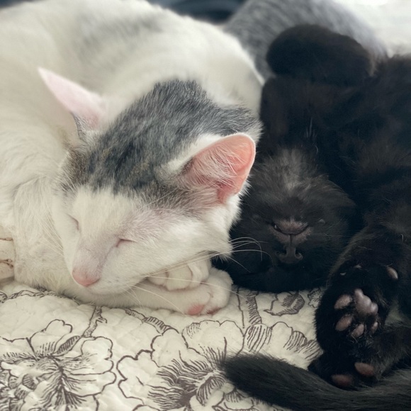 Read About My Closet Here! 💘 - Picture 4 of 6